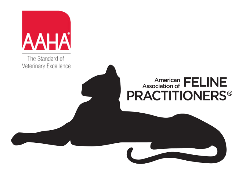 Carousel Slide 3: AAHA Accredited Vet & American Association of Feline Practitioners!
