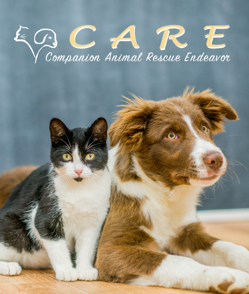 CARE